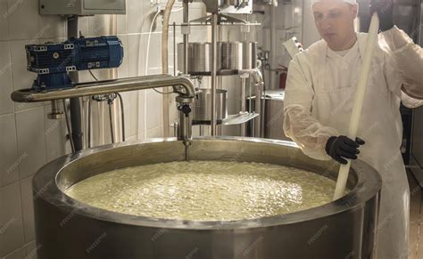 Proceso De Fabricación Del Queso Lswe
