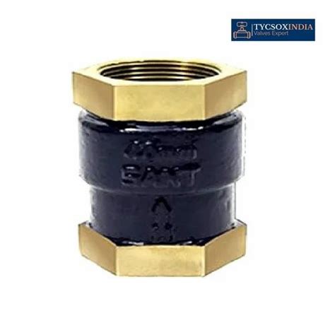 Stainless Steel Gunmetal Vertical Check Valve Valve Size Up To