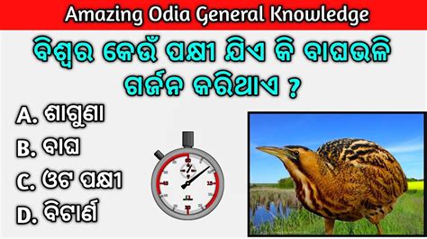 Amazing Odia Gk Knowledge General Knowledge In Odia Gk Question