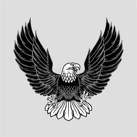 Hand Drawn Bald Eagle Spreading Wings Stock Illustrations 12 Hand