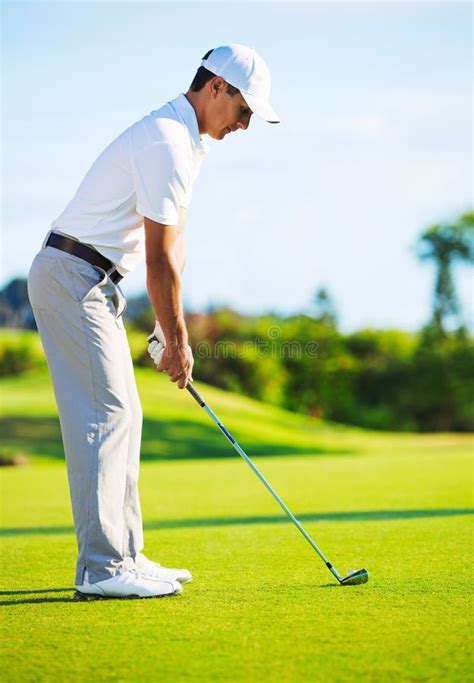 Golfer On Putting Green Stock Photo Image Of People 45069750