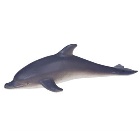 morske životinje | ePonuda.com