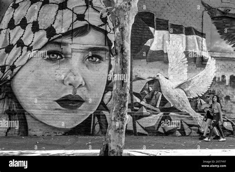 Pro Palestine Street Art, Santiago, Chile, South America Stock Photo