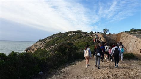 3r D ESO Institut La Talaia Segur De Calafell