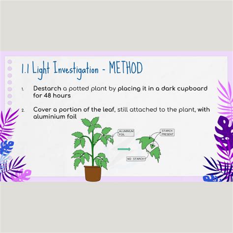 Grade 11 Caps Photosynthesis Greenhouse Effect And Practical