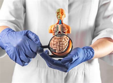 Cid C20 O Que Significa - CID C20 – Neoplasia maligna do reto