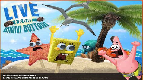 Spongebob Squarepants Live From Bikini Bottom Mini Hot Sex Picture