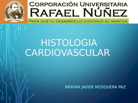 Ppt Histologia Cardiovascular Dokumen Tips