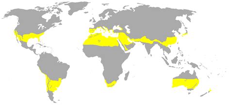 Clima subtropical - Wikipedia, la enciclopedia libre