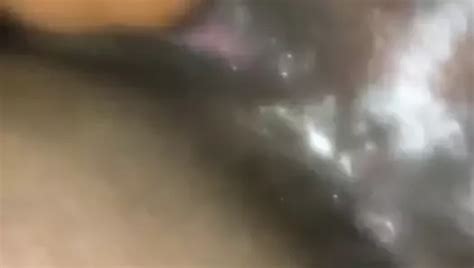 Free Pussy Porn Videos XHamster