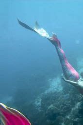 Nina Dobrev Bikini Mermaid CelebMafia