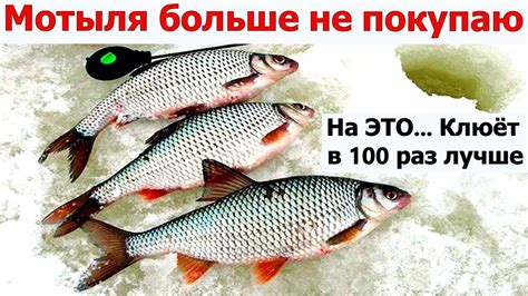 В Декабре вся рыба клюёт на Это! РАСКРЫВАЮ СЕКРЕТ Рыболовной насадки ...