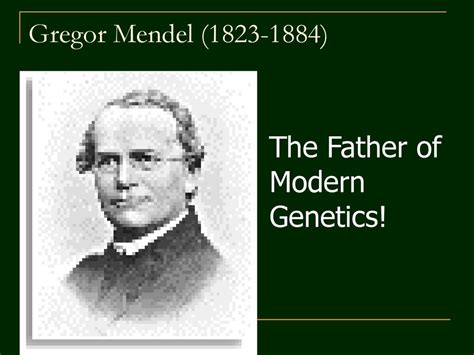 Mendels Legacy Ch Ppt Download