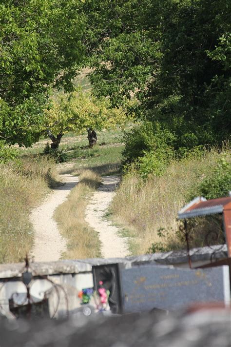 jalan sempit lapangan alam foto gratis  pixabay pixabay