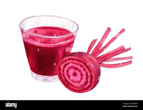 Healthy Beet Smoothie With Beetroot Watercolor Hand Drawn Illustration