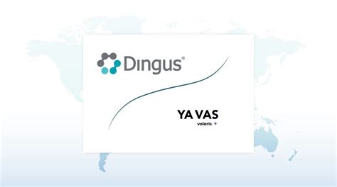 mexican ya vas  volaris  dingus connectivity dingus