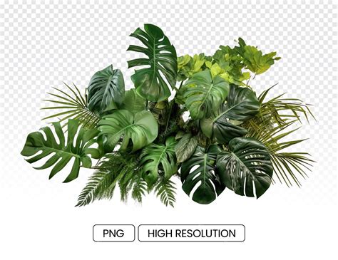 Jungle Leaves Clip Art Jungle Illustration Plant Leaves