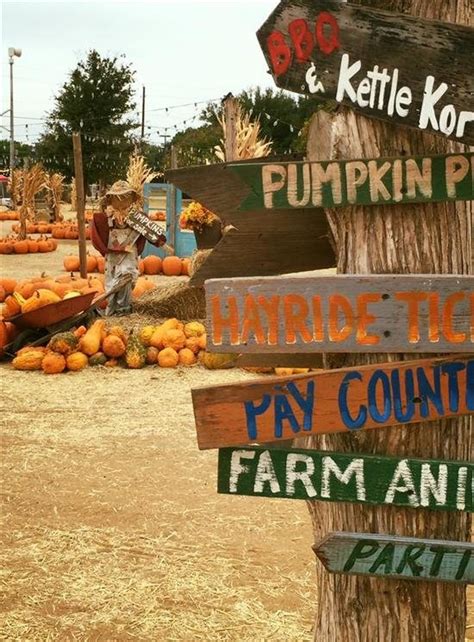 Halls Pumpkin Farm Grapevine Tx