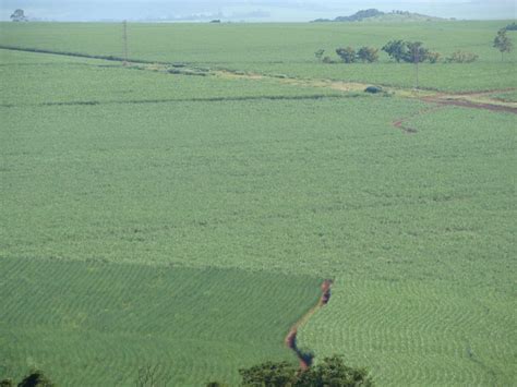 Nutri O Foliar O Que E Como Fazer Stoller