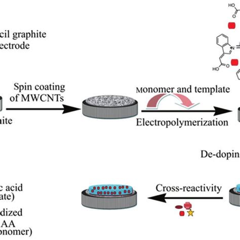 Schematic Steps For Preparing An Electrochemical Micp Based Sensor For