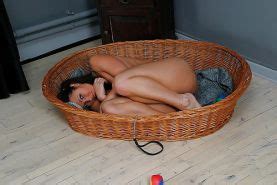 Well Trained Petgirls Porn Pictures XXX Photos Sex Images PICTOA