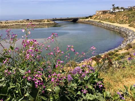 Hubbs Trail Tour At Agua Hedionda Lagoon San Diego Beach Secrets