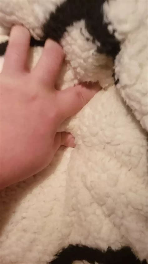 Humping My Soft Blanket To Cumpletion Gay Amateur Porn Feat Pawglover69grey59 XHamster