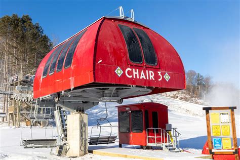 wild mountain   animal