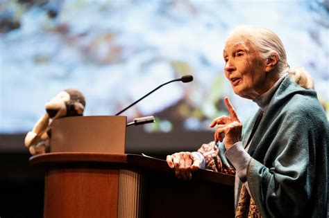 Is Jane Goodall Still Living 2024 Schedule Maude Sherill
