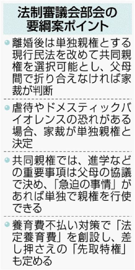 写真：離婚後共同親権導入へ 法制審要綱案 Dv懸念消えず 沖縄タイムス＋プラス