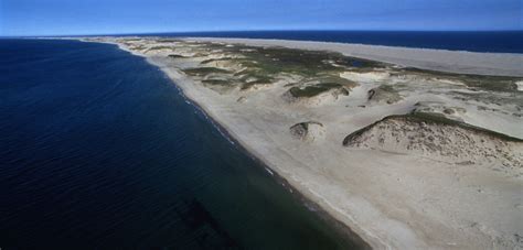 curious case  sable island hakai magazine