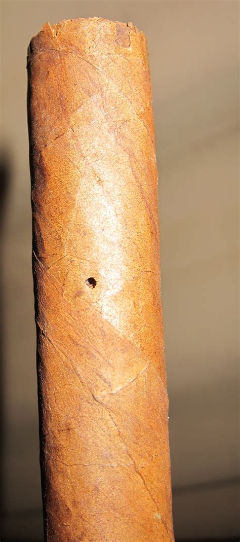 how to get rid of tobacco beetles