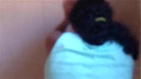 Banheiro Videos Page Xvideos