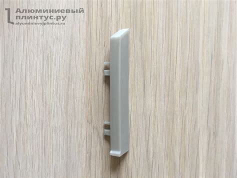 Заглушка левая ПВХ для плинтуса на клипсе 70/100 купить в Москве по ...