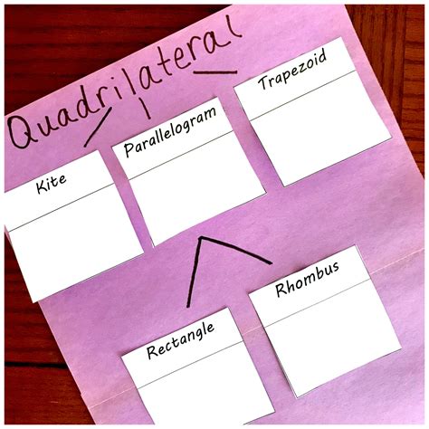 quadrilateral family tree 8