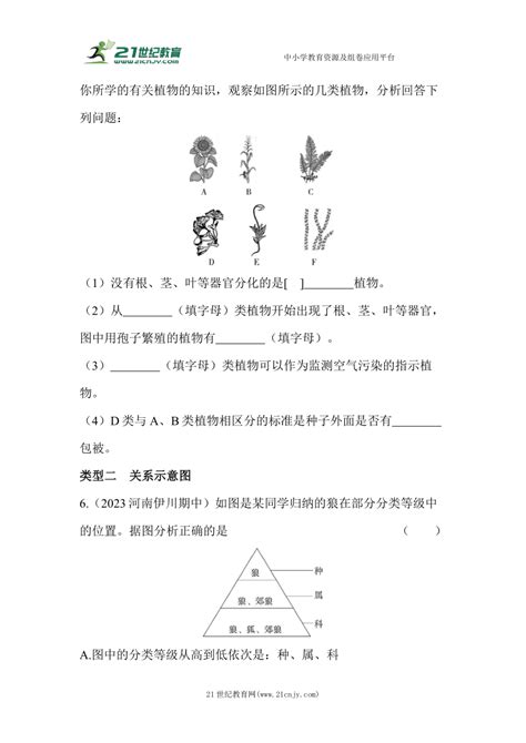 苏教版生物八年级上册期末复习：专项练习（三）识图分析（含解析） 21世纪教育网