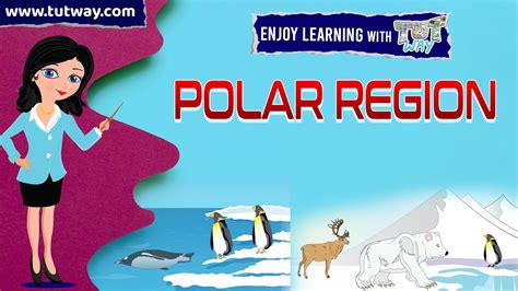 Polar Region Adaptation In Polar Region Penguins Polar Bears