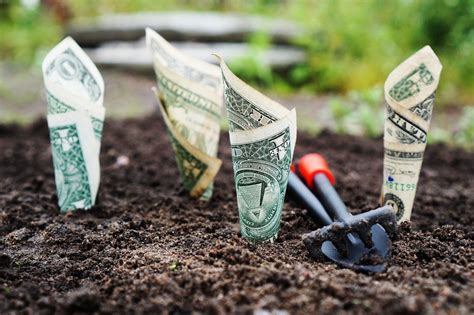 rendimento financeiro    conceito  definicao
