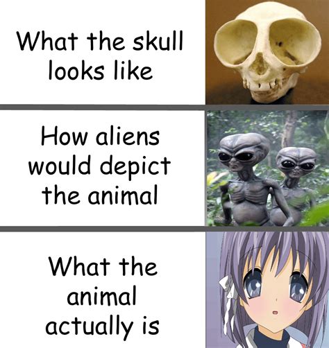 Clannad Memes Rclannad