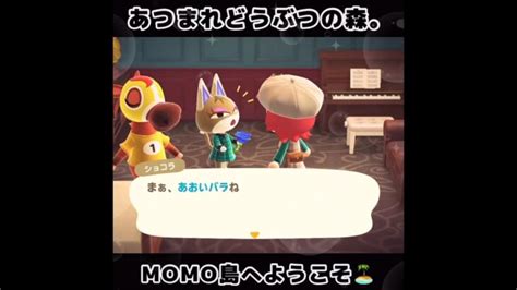 ☑️【あつ森】20240502『1分間動画①』animalcrossingnewhorizonsあつまれどうぶつの森동물의숲