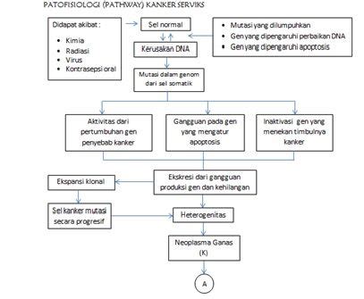 Pin Di Autoevaluaci N