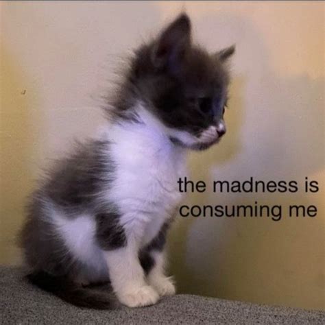 Pin on AAAAAAAAAAAAAAAAAAH