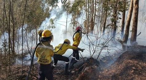 Canada Experiences Unprecedented Wildfire Season News Telesur English