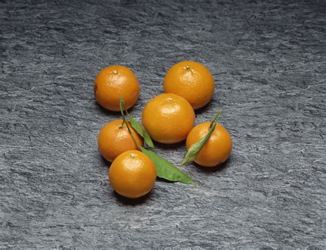 Orange Trees Grow In Cold Climates at Darcy Ansell blog