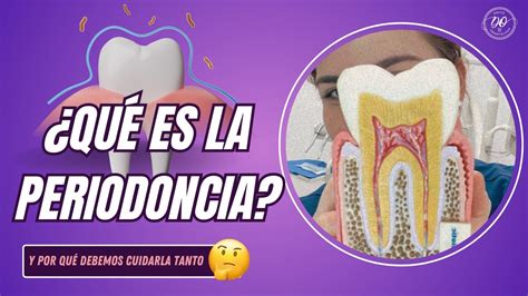 QuÉ Es La Periodoncia 🦷 Tech Universidad Tecnológica 🌟 Youtube