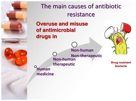 PPT Consequences Of Excessive Use And Misuse Of Antibiotics