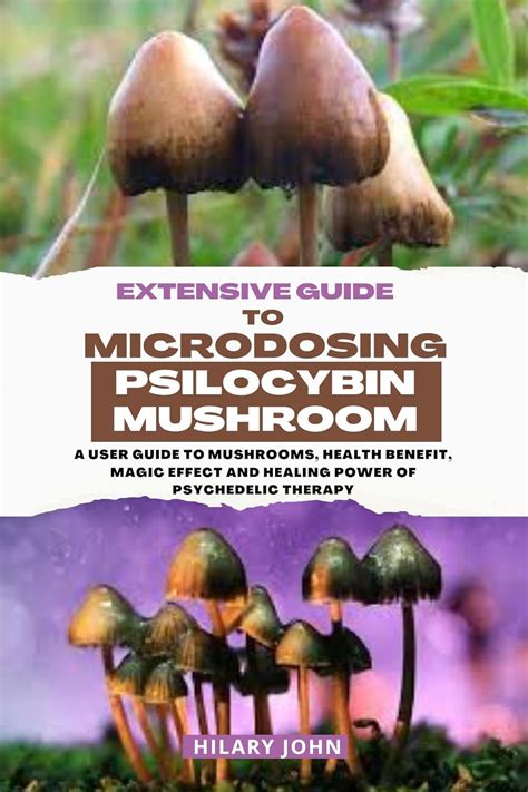 Extensive Guide To Microdosing Psilocybin Mushroom A User Guide To