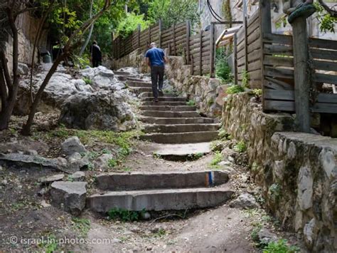 Ein Hod Artists Village Near Haifa Visitors Guide