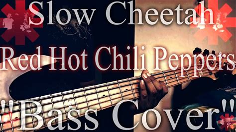 Red Hot Chili Peppers Slow Cheetah Bass Cover Youtube