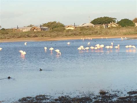 Stywelyne Holiday Resort Campground Reviews Velddrif South Africa